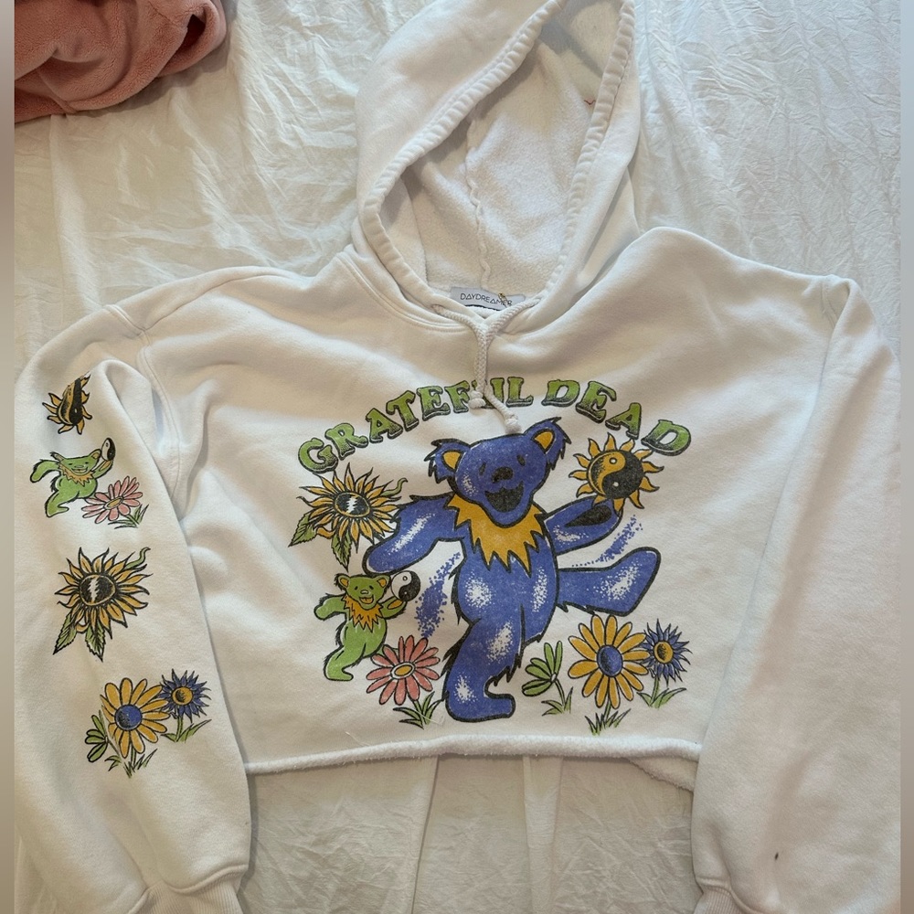 Daydreamer cropped hooded sweatshirt size XS